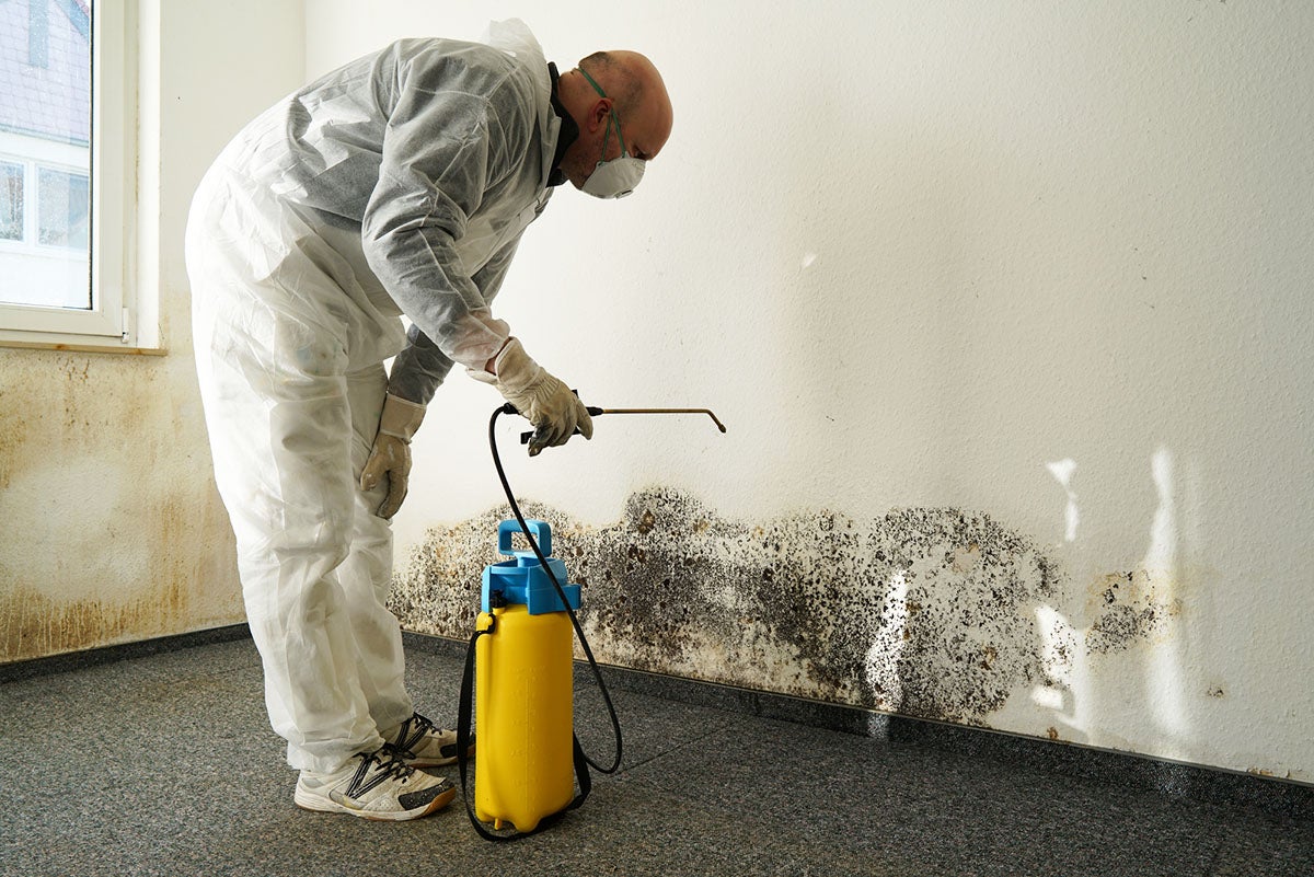 Mold-Remediation.jpg